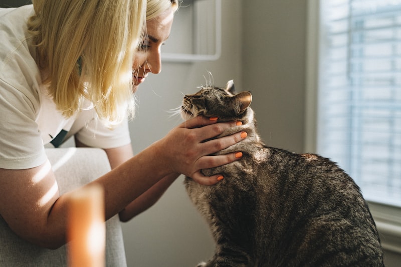 Veterinary examination